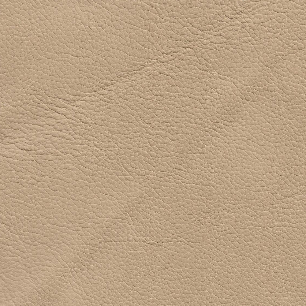 Classico Leather Swatch 2