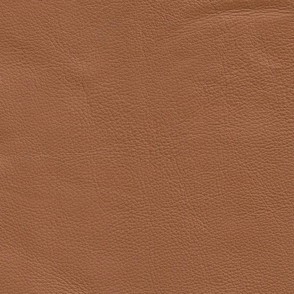 Classico Leather Swatch 3