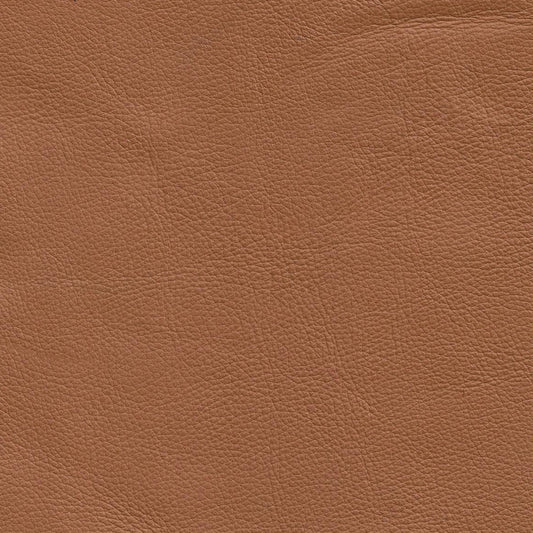 Classico Leather Swatch 3