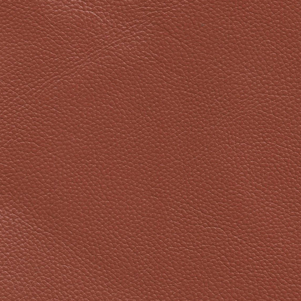 Classico Leather Swatch 6