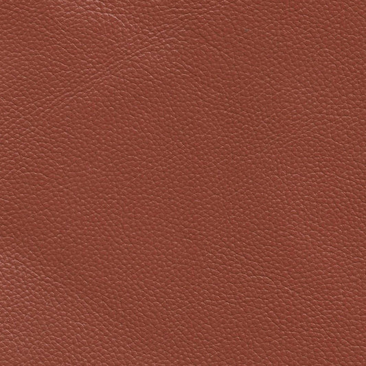 Classico Leather Swatch 6