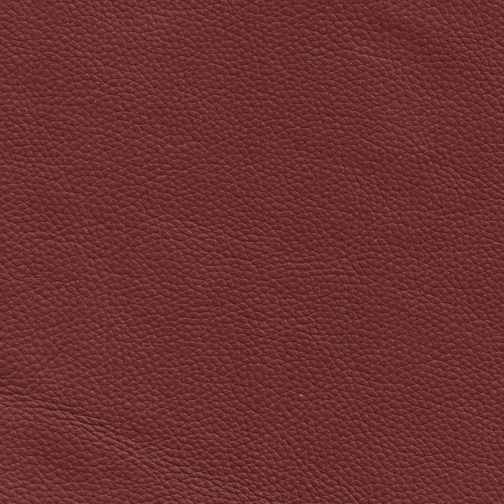 Classico Leather Swatch 9