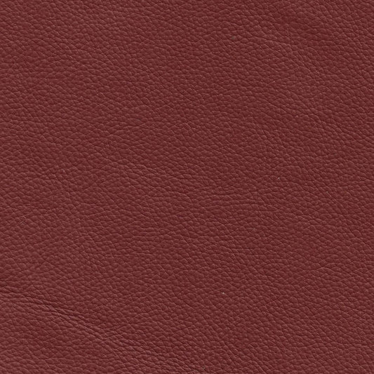 Classico Leather Swatch 9