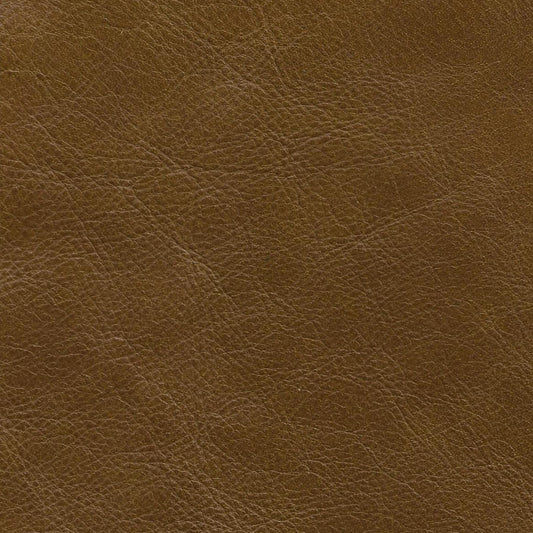 Kodu Leather Swatches