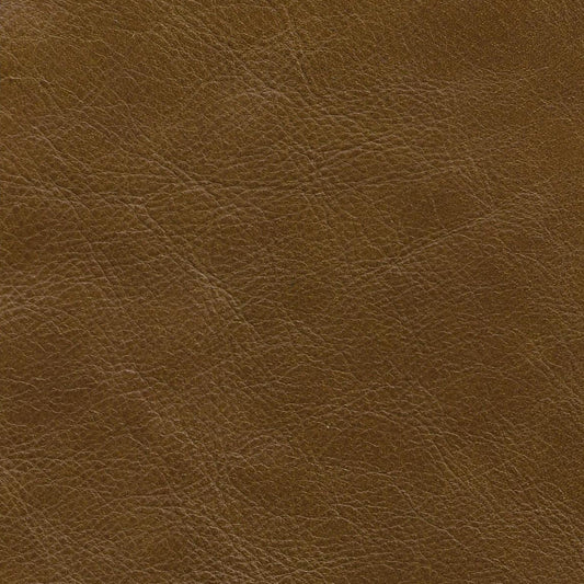 Kodu Leather Swatch 1