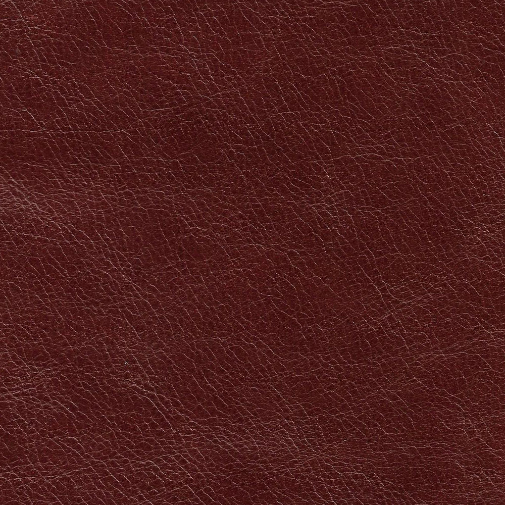 Kodu Leather Swatch 2