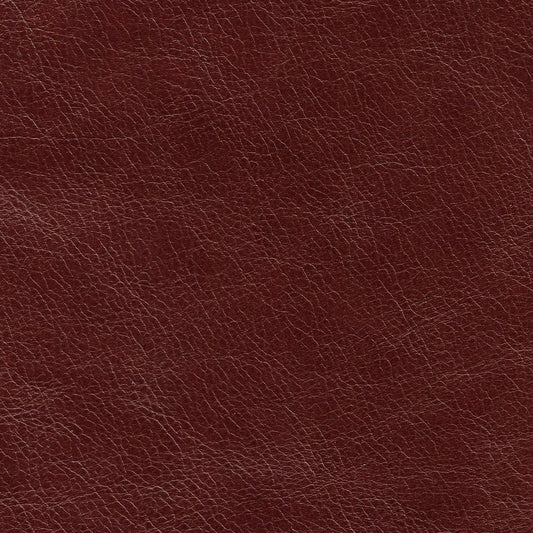 Kodu Leather Swatch 2