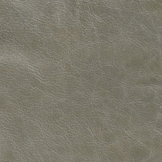 Kodu Leather Swatch 6