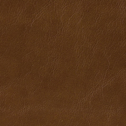 Monaco Leather Swatch 1